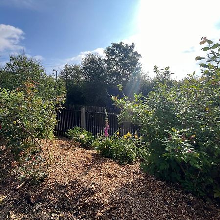 Tolles Ferienhaus Frohnatur Mit Sauna In Ruhiger Lage Plauen Eksteriør billede